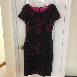 NWOT Black & Hot Pink Business Dress